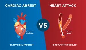 As this diagram from the American Heart Association shows, there are big differences between heart attacks and cardiac arrests. These differences magnify as symptoms manifest.